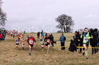 Girls under-13s, 2018 Northern Cross Country Champs., Harewood House, Leeds. Photo: David T. Hewitson/Sports for All Pics